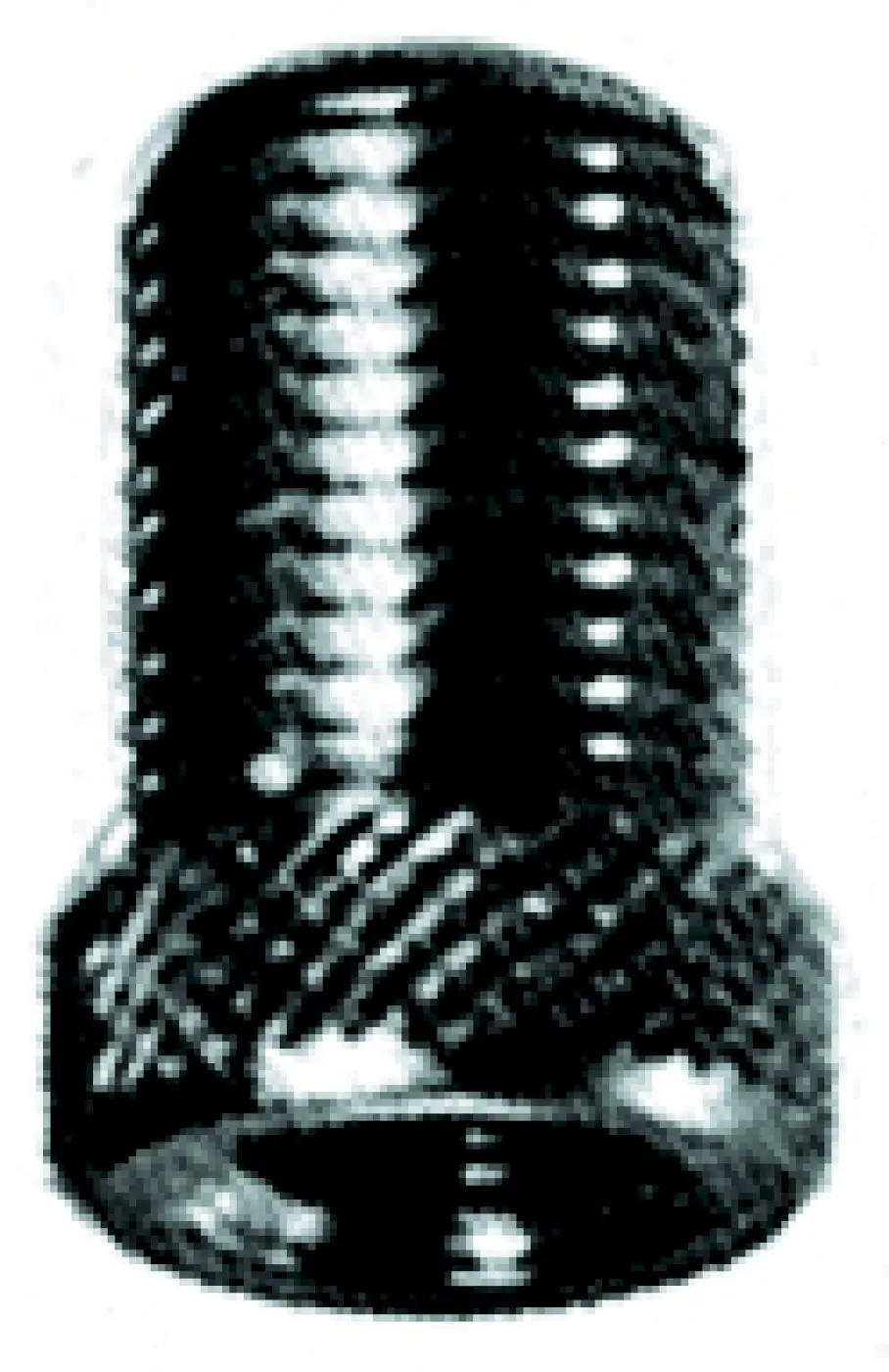 Adapter Dunlop auf Schrader Adapter Dunlop auf Schrader