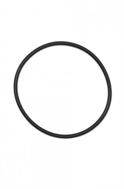 Bosch O-Ring für Drive Unit BDU2xx Bosch O-Ring für Drive Unit BDU2xx