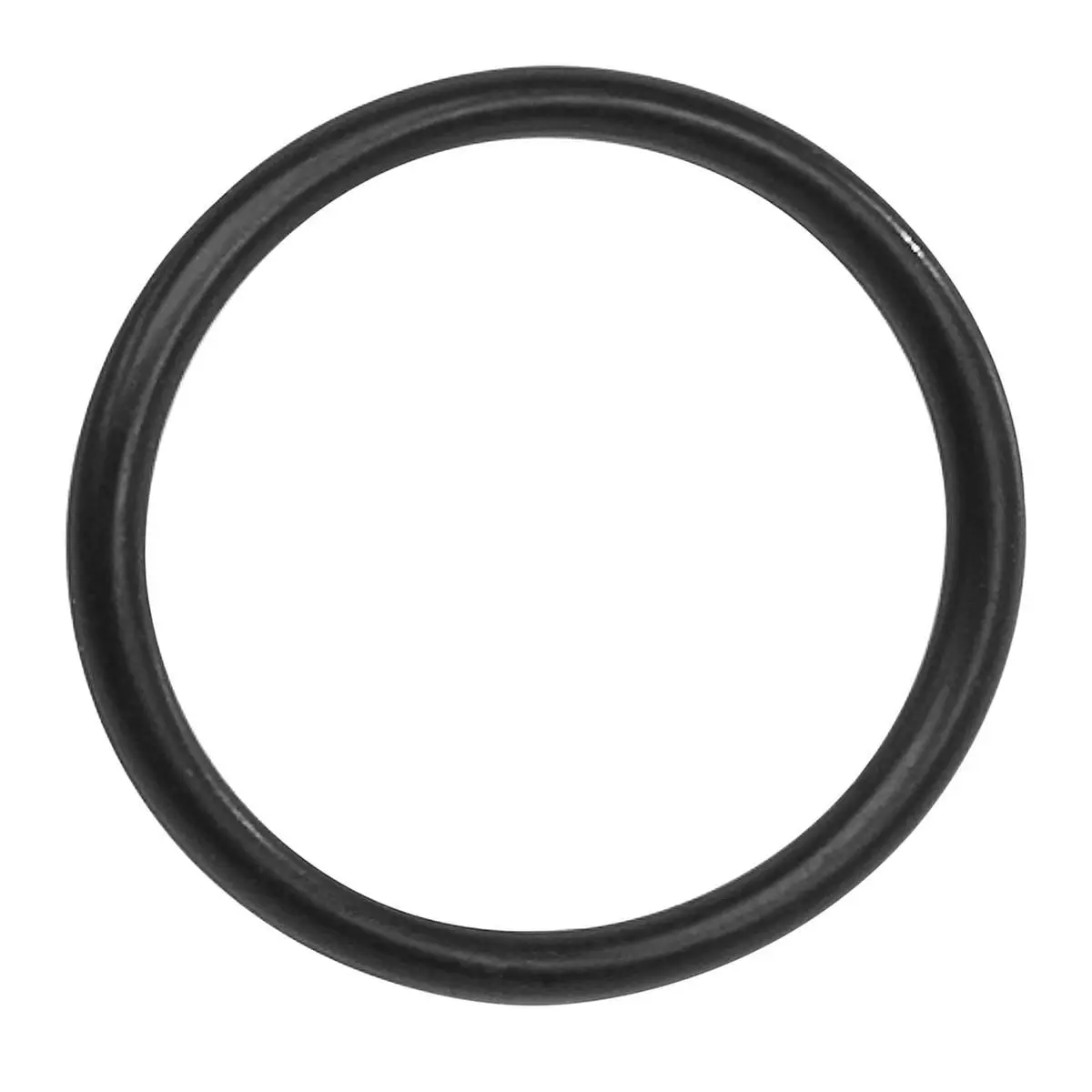 Bosch O-Ring für Drive Unit BDU3xx Bosch O-Ring für Drive Unit BDU3xx
